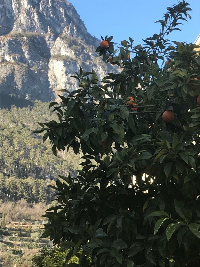 Casa Nika Leilighet Riva del Garda Eksteriør bilde